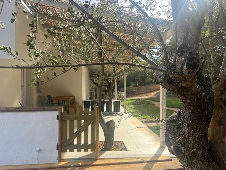 Agreen Country House 올비아 외부 사진